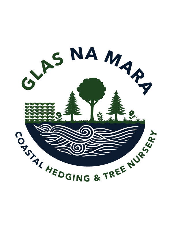 Glas Na Mara